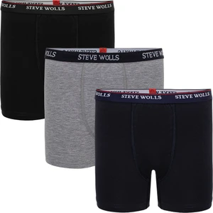 Steve Wolls Renkli 3’Lü Çocuk Boxer - 22002