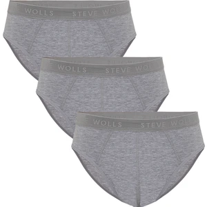Steve Wolls Erkek Gri 3’Lü Slip Külot - 23001