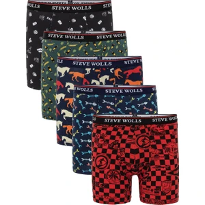 Steve Wolls Erkek Karışık Desenli 5’Li Boxer - 23310 (P102)