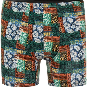 Steve Wolls Erkek Yeşil Afrika Desenli Tekli Boxer - 23400
