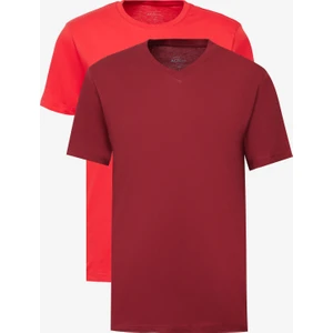 Altınyıldız Classics 2'li Paket Slim Fit Dar Kesim Pamuklu Basic Tişört