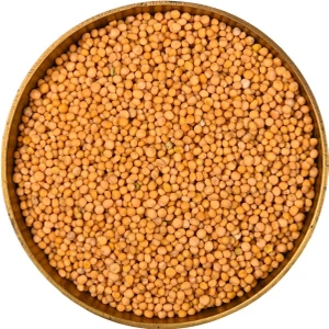 Bade Shop Hardal Sarı Tane Tohumu - 100 gr