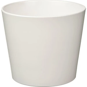 Sojabona Saksı 12 cm 00533588
