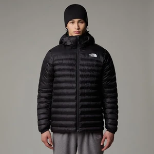 The North Face Erkek Kaz Tüyü Mont Terra Peak Hoodie NF0A88TVJK31
