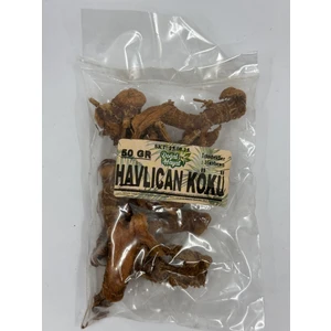 Havlıcan Kökü 50 gr