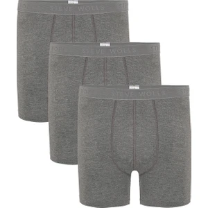 Steve Wolls Erkek Gri 3’lü Uzun Paça Bambu Boxer - 25201