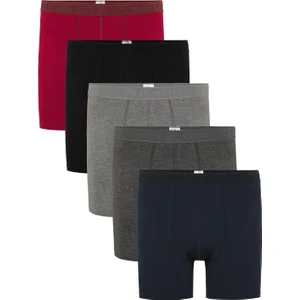 Steve Wolls Erkek Renkli 5’li Uzun Paça Bambu Boxer - 25204 (BUK100)