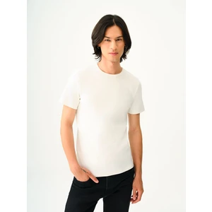 Slim Fit Erkek Tshirt K.kol