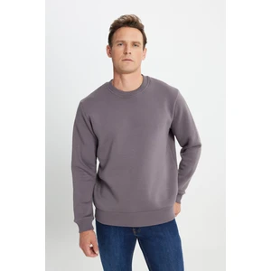 Altınyıldız Classics Erkek Koyu Gri Standart Fit Normal Kesim Içi Polarlı 3 Iplik Bisiklet Yaka Sweatshirt