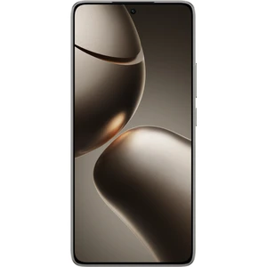14T 12GB 256GB