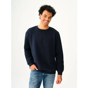 Regular Fit Erkek Sweatshirt