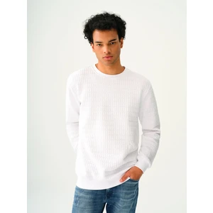 Regular Fit Erkek Sweatshirt