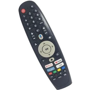 Dıjıtsu 65DG22000 4K Google Tv Kumandası-Mikrofonsuz