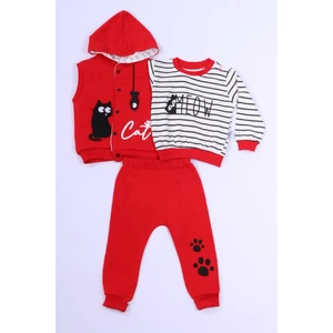 Erkek Çocuk 3`lü Takım Kedi Baskılı Kapşonlu Yelekli B70