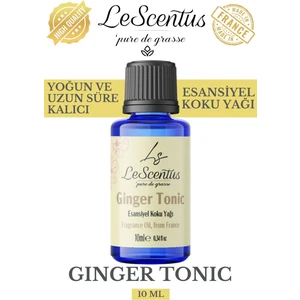 Ginger Tonic Esansiyel Koku Yağı Buhurdanlık difüzör mum sabun hobi esansı Hava nemlendirici Oda Kokusu10ML