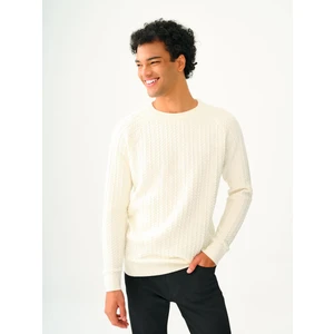 Regular Fit Erkek Kazak