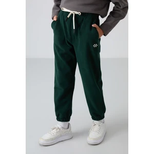 Tommy Life Çam Yeşil Kalın Yumuşak Dokulu Standart Fit Nakışlı Polar Erkek Çocuk Eşofman Alt - 11220