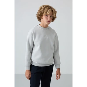 Tommy Life Taş Pamuklu Kalın İçi Tüylü Yumuşak Dokulu Standart Fit Nakışlı Erkek Çocuk Sweatshirt - 11232