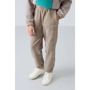Tommy Life Koyu Bej Kalın Yumuşak Dokulu Standart Fit Nakışlı Polar Kız Çocuk Eşofman Alt - 75155