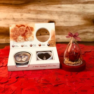 Aşk Sözleri Dolu Gül Küresi ve Inci Kolye Sevgiliye Özel Hediye Seti