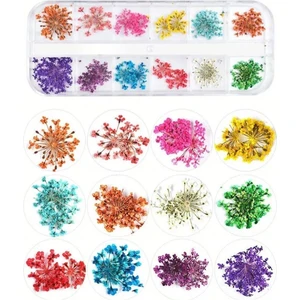 Nail Art Kurutulmuş Çiçek NG-155