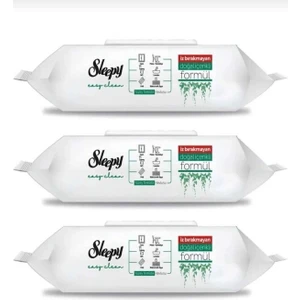 Easy Clean Yüzey Temizleme Havlusu 100'LÜ x 3 Adet