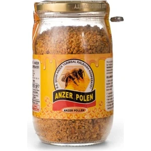 Anzer Poleni