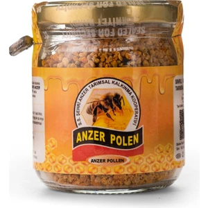 Anzer Poleni