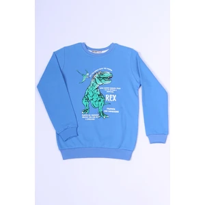 Erkek Çocuk Sweat Dinozor Baskılı Ribanalı C54