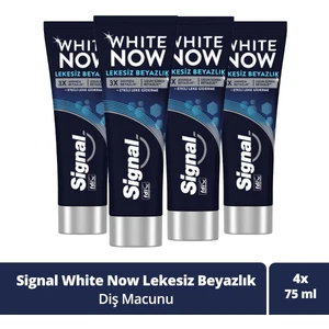 White Now Diş Macunu Lekesiz Beyazlık Etkili Leke Giderme 75 ml X4