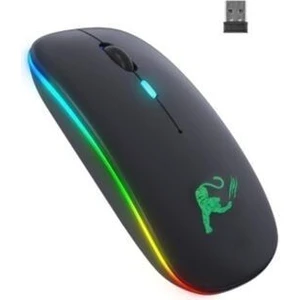 Şarjlı Kablosuz Mouse Sessiz 2.4 Ghz USB Wireless 800-1200-1600 Ayarlanabilir Dpi LED Işıklı Slient