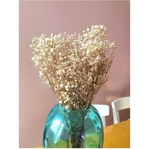 Kuru Çiçek Şoklanmış Cipso Krem Rengi