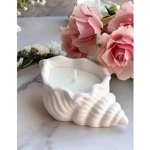 Meltt Candle 20'li Düğün nişan söz nikâh deniz Kabuğu Kokulu Dekoratif Mum