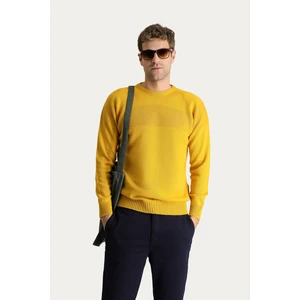 Bisiklet Yaka Slim Fit Dar Kesim Dikişsiz Desenli Yünlü Triko Kazak