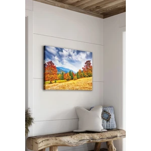 Dekoratif Kanvas Tablo - FDC45