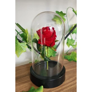 Sevgililer Günü Solmayan Kadife Güllü Dekoratif Sade Model