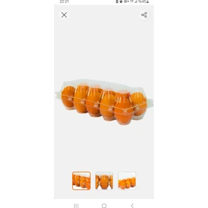 Plastik Yumurta Viyol 100 Adet 10 Lu