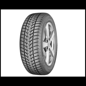 225/45 R17 91H Eskimo Hp 2 Fp Oto Kış Lastiği (Üretim Yılı: 2024)
