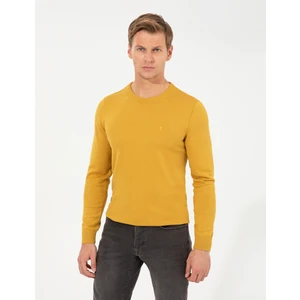 Pierre Cardin Erkek Hardal Slim Fit Bisiklet Yaka Basic Triko Kazak 50257290-VR072