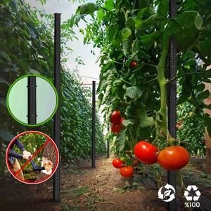 Ne Pratik Bitki Destek Çubuğu - Bahçe ve Saksı Bitkileri Için (220 Cm)