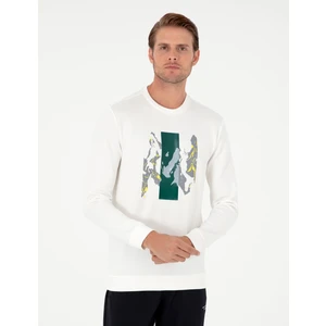 Pierre Cardin Erkek Ekru Regular Fit Sweatshirt 50290612-Vr019