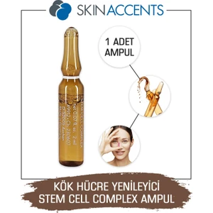 Skin Accents Kök  Ampul 1 Adet Stem Cell Complex Cilt Serumu Dermaroller Dermapen Serum