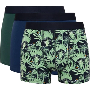 Erkek Regular Fit Desenli 3'lü Boxer D2333AX24WN
