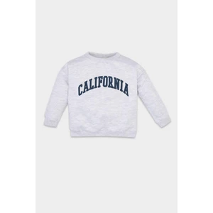 Erkek Bebek Gri Bisiklet Yaka Yazı Baskılı Sweatshirt D0698A524AU