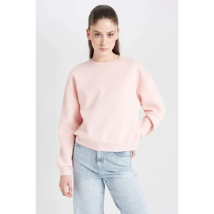 Regular Fit Bisiklet Yaka Kalın Basic Düz Sweatshirt D6645AX24WN