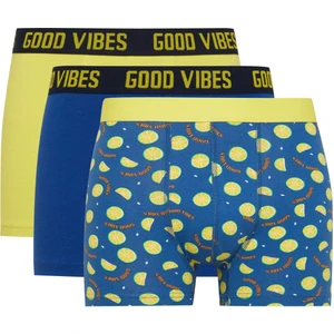 Regular Fit Desenli 3'lü Boxer C3284AX24WN