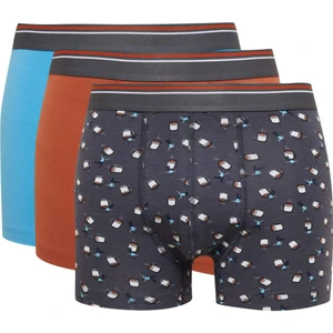 Erkek Desenli 3'lü Boxer D2332AX24WN