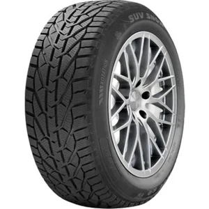 195/55 R16 87H Snow M+S Oto Kış Lastiği ( Üretim Yılı: 2024 )
