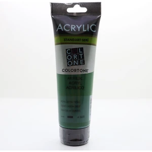 Artist Colors (Standart Seri) 120 ml Akrilik Boya ''koyu Zeytin Yeşili''