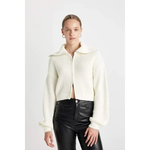 Slim Fit Basic Dik Yaka Triko Fermuarlı Hırka A3333AX24WN
